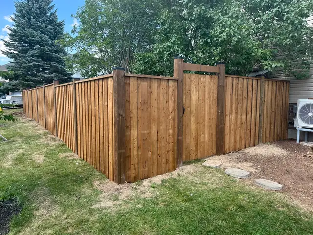 Fence & Decks