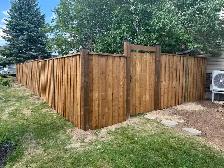 Fence & Decks