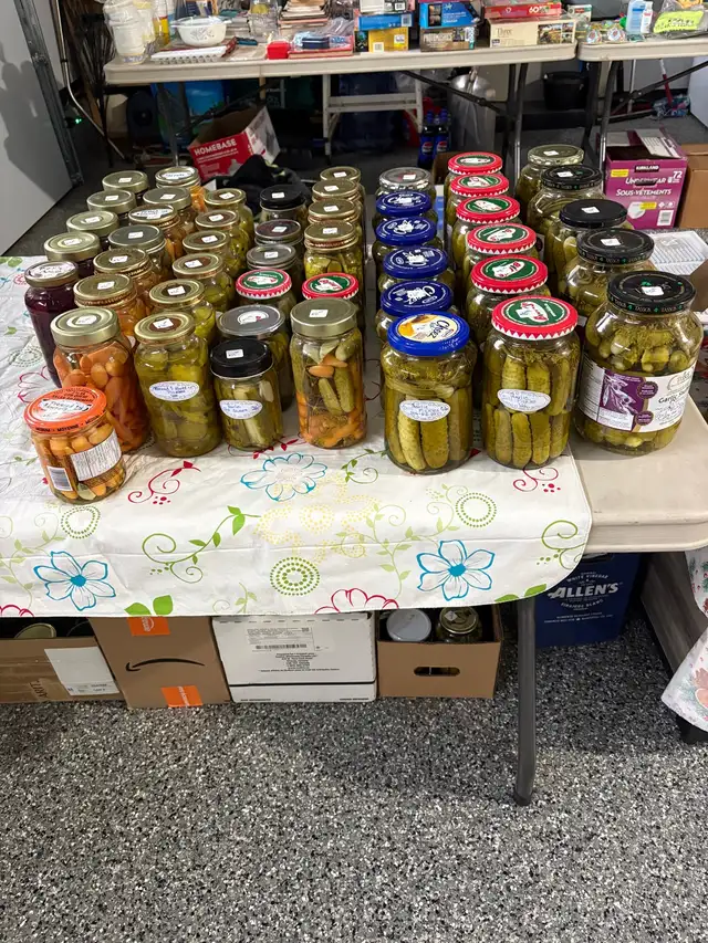 garden carrots, garlic dill pickles and  beet pickles