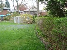 1 br with private bathroom  in the B1for rent from dec.1,2026 - Photo 6