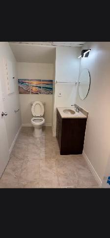 Brampton Studio Basement Apartment - Photo 8