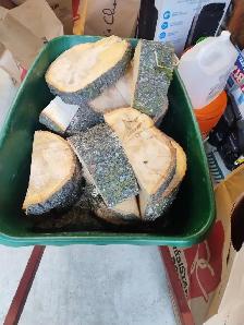 FIREWOOD -FREE - Photo 2
