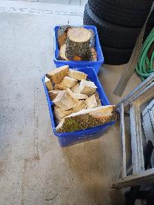FIREWOOD -FREE - Photo 3