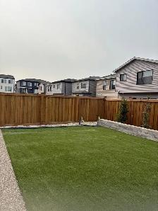 FALL CLEANUP FROM $149 - Photo 4