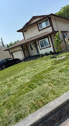 FALL CLEANUP FROM $149 - Photo 6