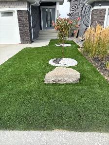 FALL CLEANUP FROM $149 - Photo 8
