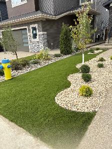 FALL CLEANUP FROM $149 - Photo 10