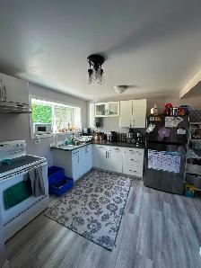 Newly Legal Suite at the Lower level with 3 bedrooms 1 bathroom - Photo 4