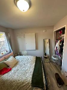 Newly Legal Suite at the Lower level with 3 bedrooms 1 bathroom - Photo 8