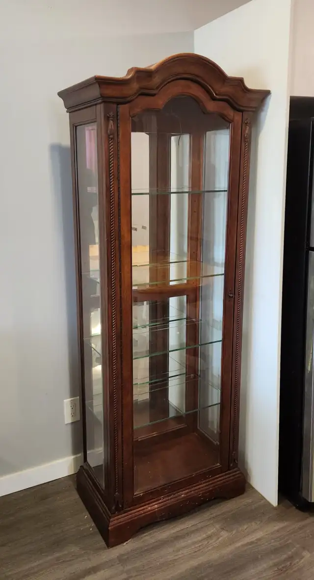 China cabinet in excellent condition needs a new home.
