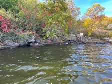Lakefront lot FOR SALE in Kenora, on beautiful Lake - Photo 4