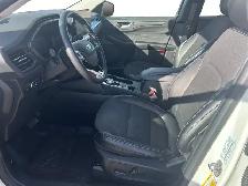 2024 Ford Escape PLUG IN HYBRID LOCAL TRADE LOW KMS - Photo 14
