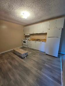 2 bedroom apartment for rent - Photo 2