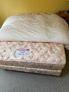A Massive Leaside Downsizing Sale - Photo 8
