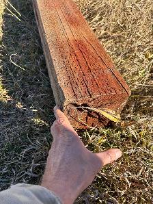 long thick post. 8’ long x 8" x8" - Photo 2