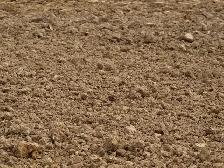 Bulk Screened Topsoil – Drop-Off - Photo 3