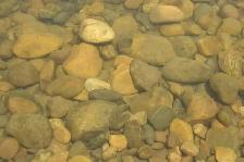 Decorative River Rock – Delivery - Photo 2