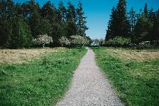 Small Pea Gravel for Walkways - Photo 2
