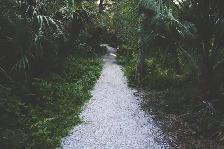 Small Pea Gravel for Walkways - Photo 3