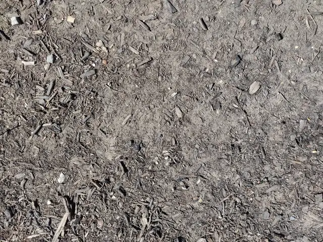 Shredded Bark Mulch Dropped