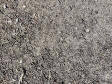 Shredded Bark Mulch Dropped