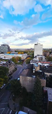 1  1/2 a louer 1350 rue du Fort centre-ville Montréal - Photo 5