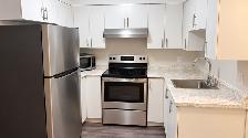 Renovated 3 Bed, 1 Bath Lower Unit | Yard, Laundry & Parking - Photo 2