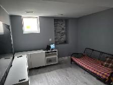 2 Bedroom Brand New Legal Basement - Photo 3