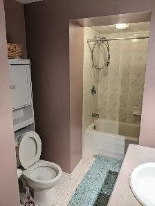 Very Clean 1 BDRM - Photo 4