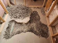 FREE estimates for basement legalization & home reno - Photo 8