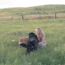 Professional Photographer for Family Portraits - Photo 6