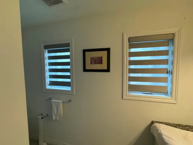 Blackout Roman Shades for Bedrooms