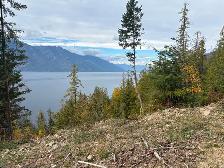 Live the Dream on Incredible Kootenay Lake BC - Photo 4