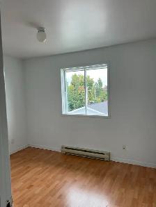Appartement 4 1/2 libre à Beauport, propre mois gratuit - Photo 5