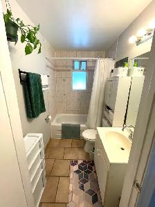 Dundas 1 Bd rm   Den in quiet small building close to McMaster - Photo 8