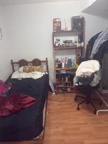 BASEMENT ROOM FOR RENT AT YORK UNIVERSITY VILLAGE - Photo 3