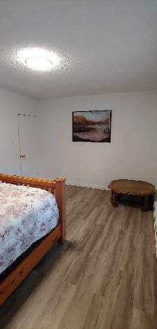 Room for rent - Photo 4