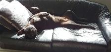Room for rent - Photo 9