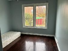 Main Floor Private Room for Rent from Dec 1 in Scarborough - Photo 4
