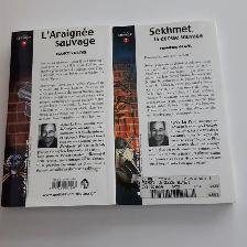 2 LIVRES ADO FRANCOIS GRAVEL L'ARAIGNÉ SECMET: $10.00 LES 2 - Photo 2