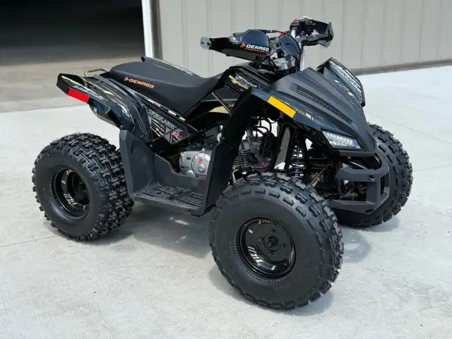 Denago Trailhawk ATV EFI BLOW OUT! $1999
