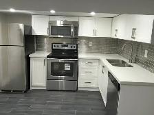 Renovated 2 Bedroom Basement Apartment: Bloor and Spadina - Photo 3