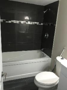 Renovated 2 Bedroom Basement Apartment: Bloor and Spadina - Photo 4