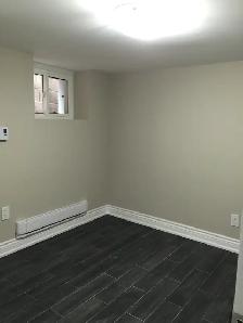 Renovated 2 Bedroom Basement Apartment: Bloor and Spadina - Photo 7