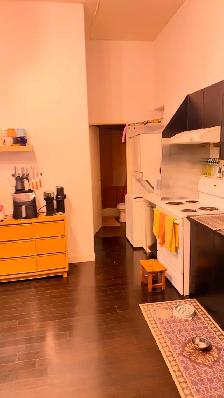 Queen w Roncesvalles,Dec,Loft,$3495,over shop,1200ft great apt - Photo 3