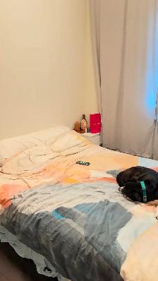 Queen w Roncesvalles,Dec,Loft,$3495,over shop,1200ft great apt - Photo 8