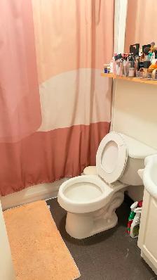 Queen w Roncesvalles,Dec,Loft,$3495,over shop,1200ft great apt - Photo 9