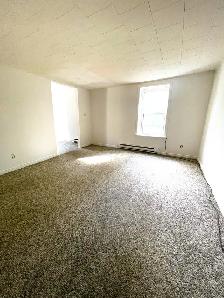 Spacious Two Bedroom Apartment in Belleville $1200 plus Hydro - Photo 4