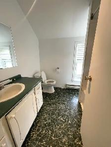 Spacious Two Bedroom Apartment in Belleville $1200 plus Hydro - Photo 8