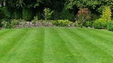 SEASONED FIREWOOD FOR SALE (905)375-3366 - Photo 6